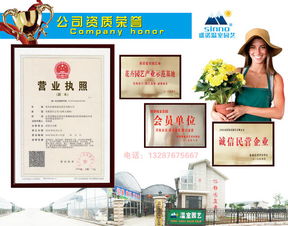 2017花海設(shè)計(jì)、造價(jià)與十年種植施工經(jīng)驗(yàn)下的數(shù)字內(nèi)容制作服務(wù)